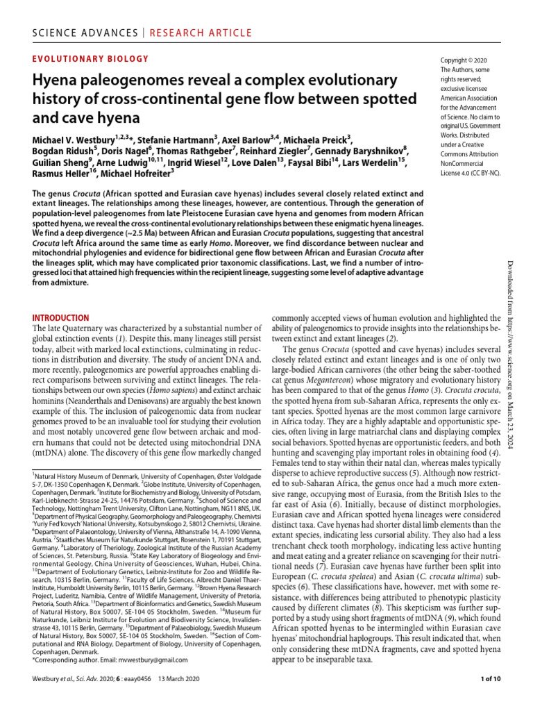 The Evolutionary History Of The Striped Hyena