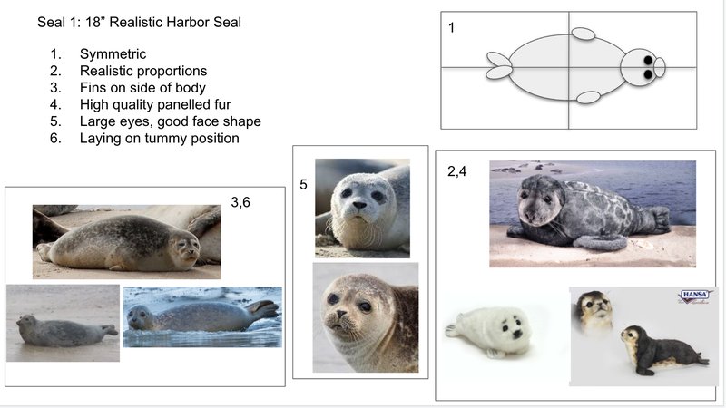 The Evolutionary Journey Of The Harbor Seal