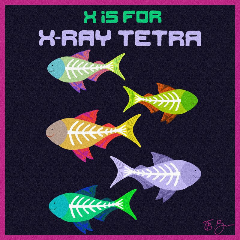 The Evolutionary Journey Of The X-Ray Tetra