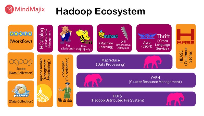 The Hartebeest'S Role In Its Ecosystem