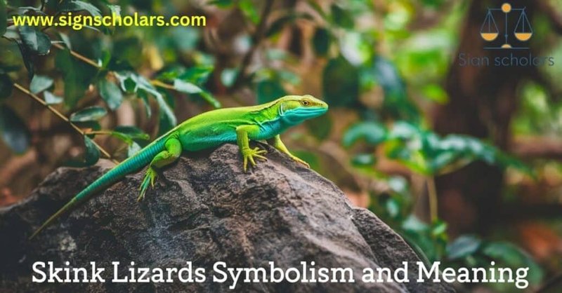 The Importance Of The Skink In Culture And Symbolism