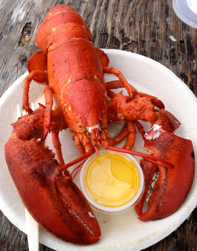 The Lobster'S Role In Marine Ecosystems