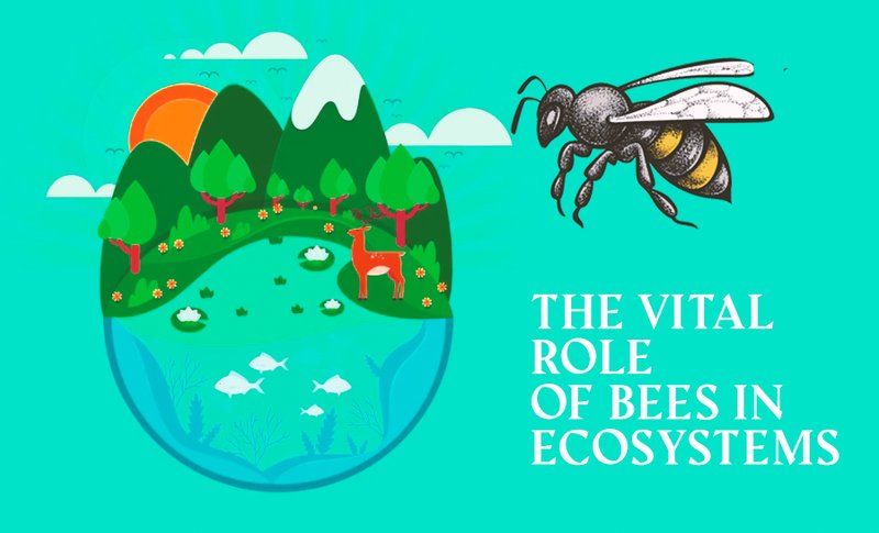 The Role Of The Bee In Ecosystems