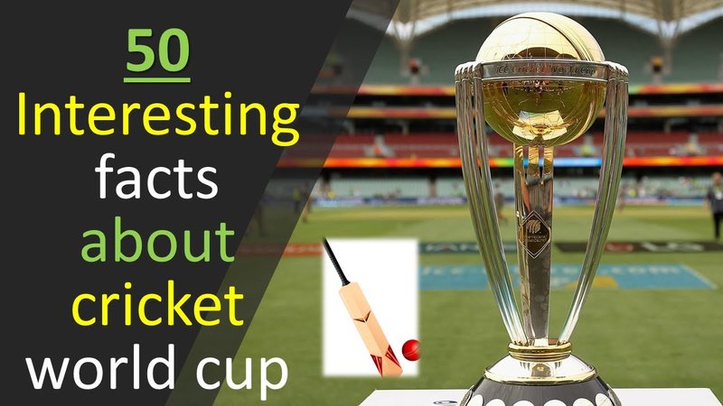 Top 10 Fascinating Facts About The Cricket
