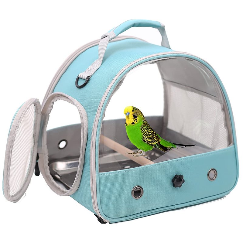 Traveling With A Budgie: Carrier Setup And Tips