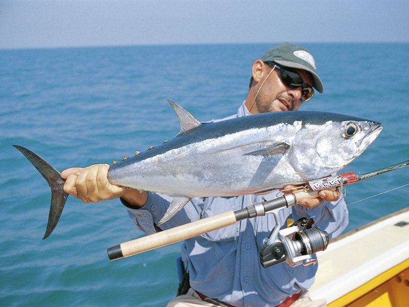 Tuna