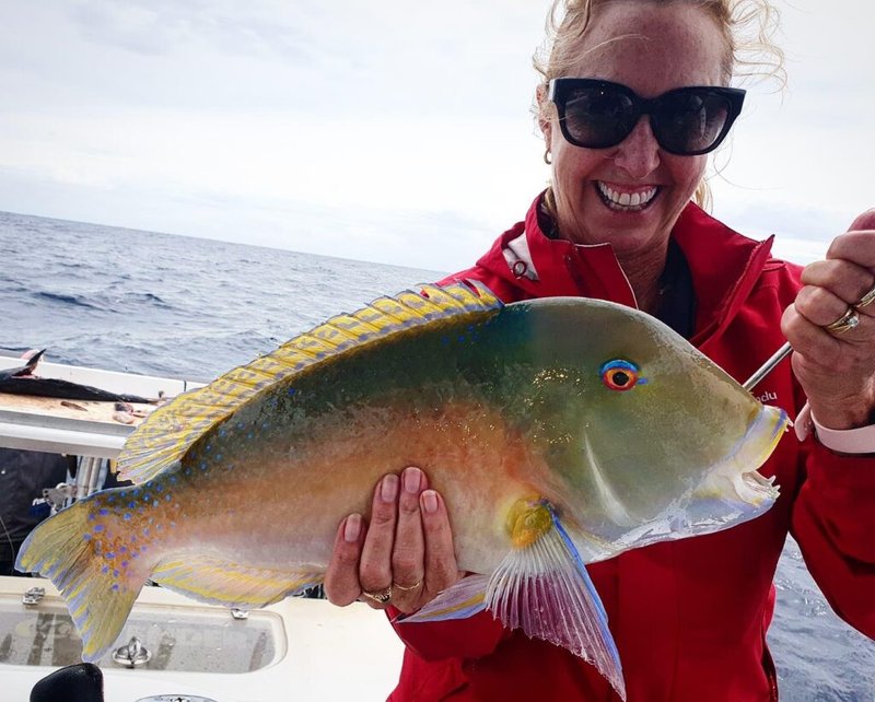 Tuskfish