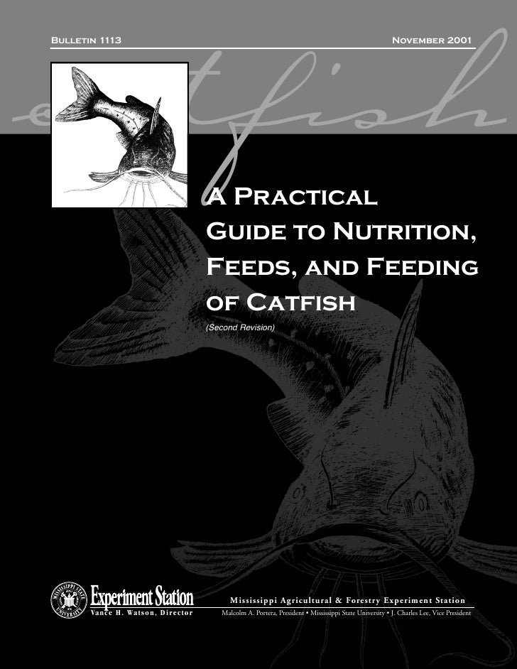 What Do Catfish Eat? Feeding Schedule And Nutrition Guide