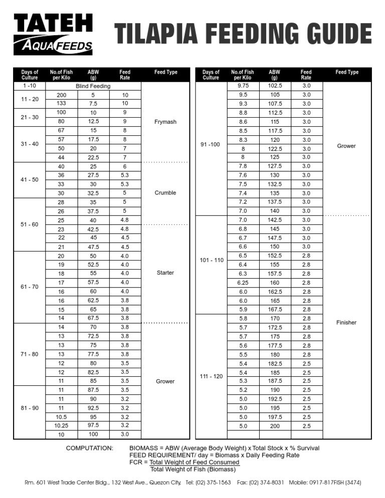 What Do Tilapia Eat? Feeding Schedule And Nutrition Guide