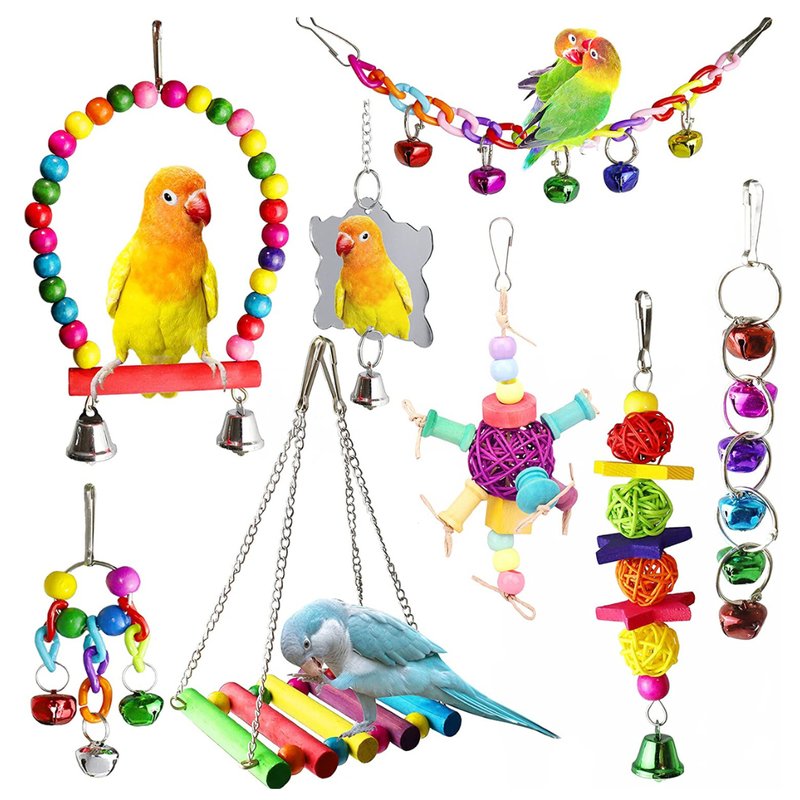 What Toys And Enrichment Do Lovebirds Need?