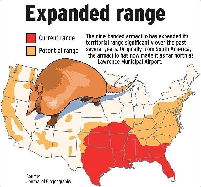 Where Do Armadillos Live? Habitat And Distribution Explained