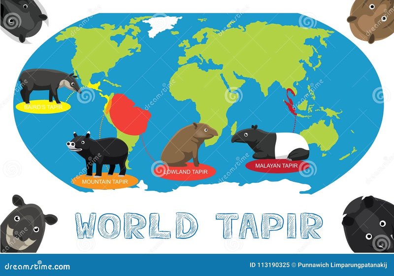 Where Do Baird'S Tapirs Live? Habitat And Distribution Explained