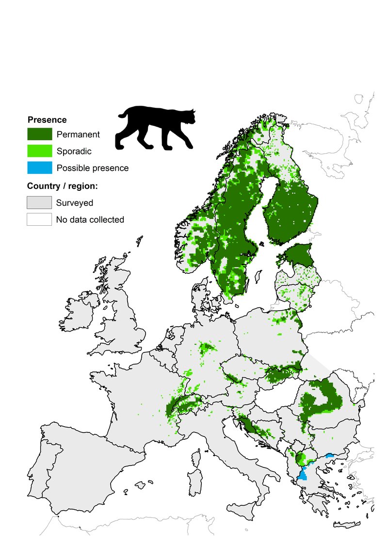 Where Do Eurasian Lynxs Live? Habitat And Distribution Explained