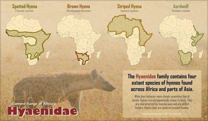 Where Do Hyaenas Live? Habitat And Distribution Explained