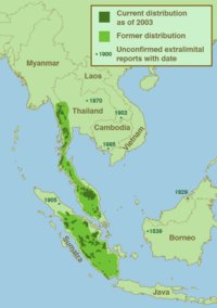 Where Do Malayan Tapirs Live? Habitat And Distribution Explained