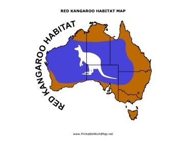 Where Do Red Kangaroos Live? Habitat And Distribution Explained