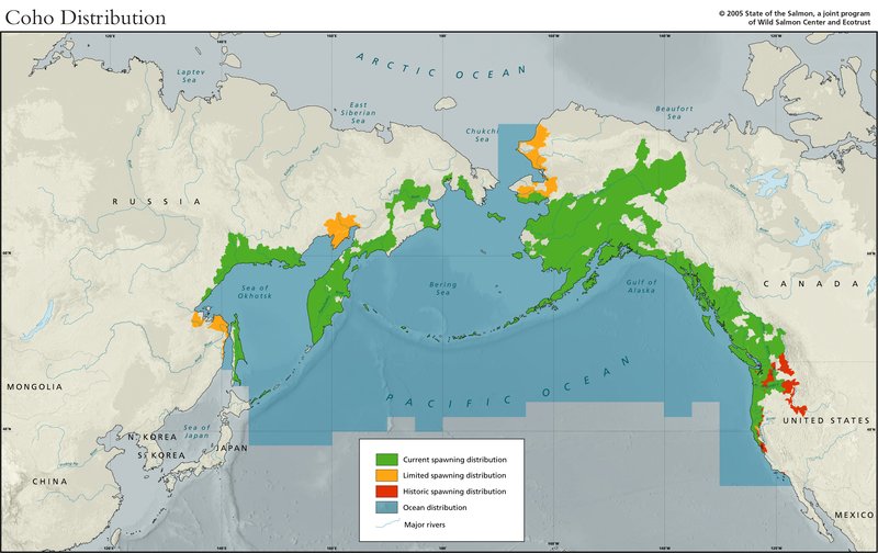 Where Do Salmons Live? Habitat And Distribution Explained