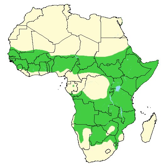 Where Do Spotted Hyenas Live? Habitat And Distribution Explained