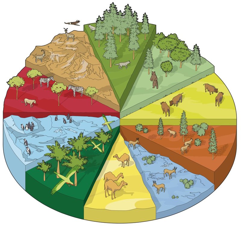 Where Do Takins Live? Habitat And Distribution Explained