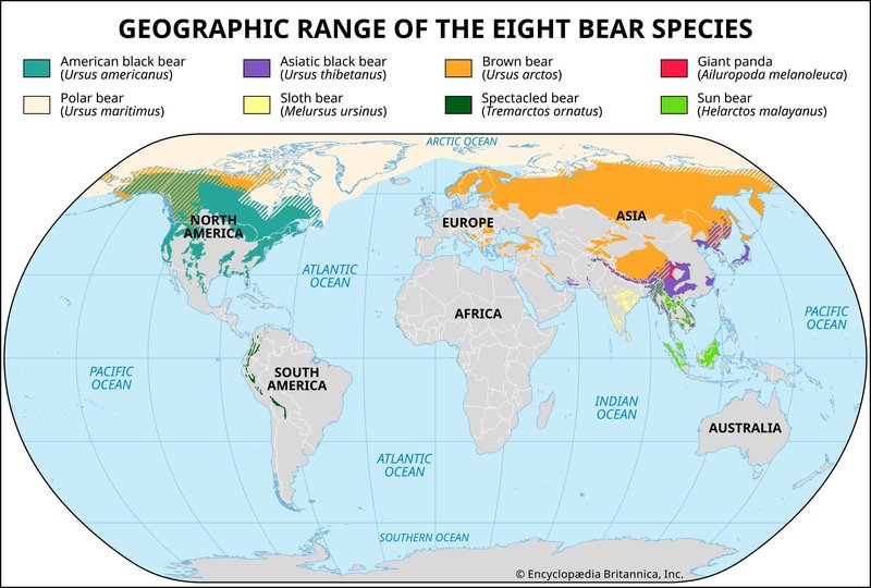 Where To Spot The Rhode Island Red: Global Habitats And Ranges