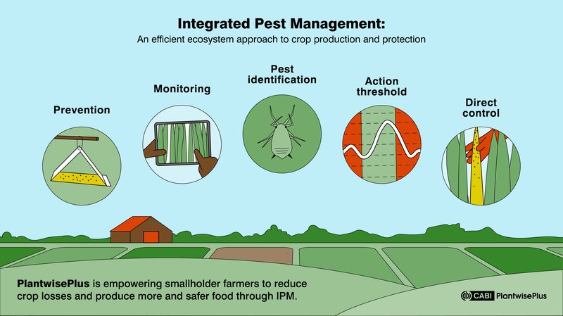 Avoiding Pesticides In Inchworm Management