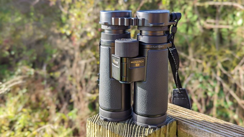Best Binoculars For Observing Inchworm Movement