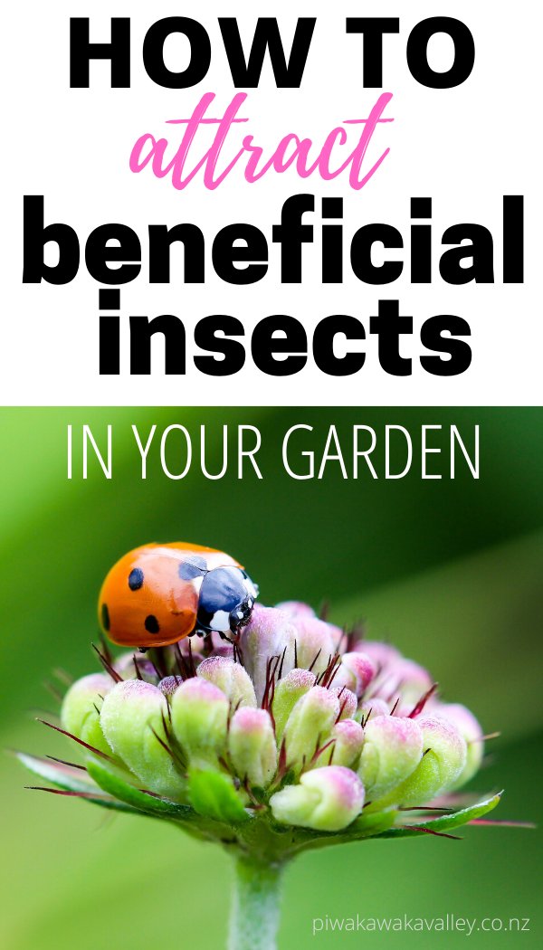 Best Plants For Attracting Inchworms To Your Garden