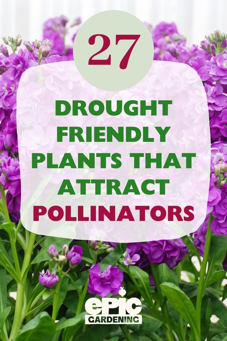 Best Plants For Attracting Inchworms To Your Garden