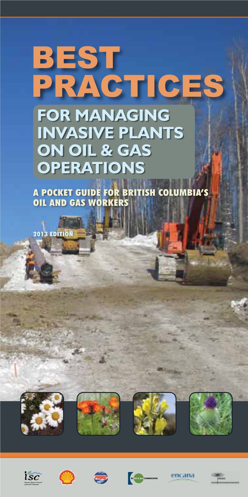 Best Practices For Reporting And Monitoring Garden Invasives