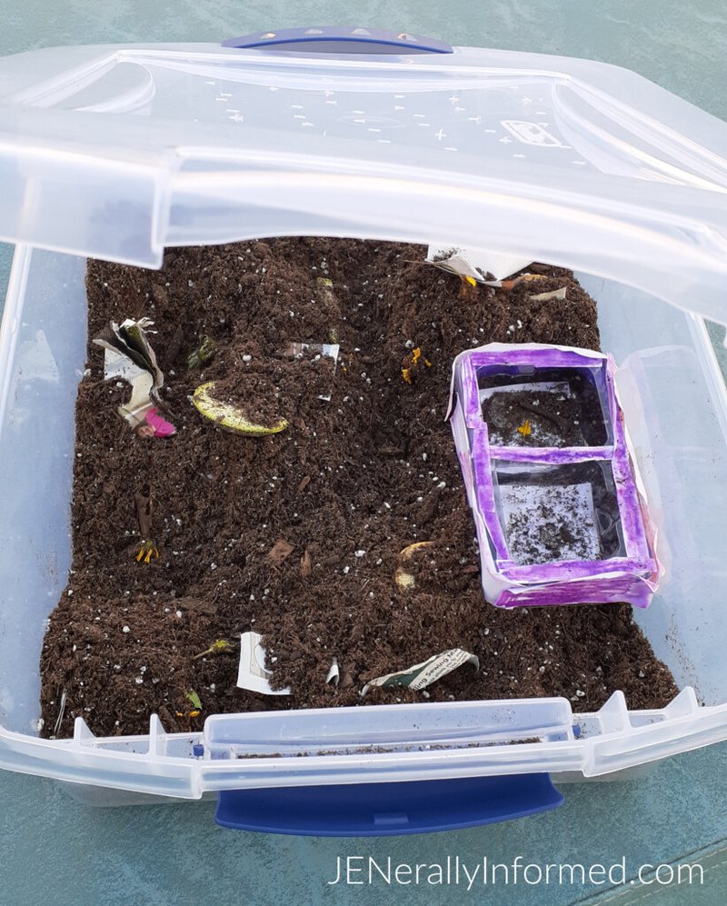 Building A Classroom Earthworm Farm