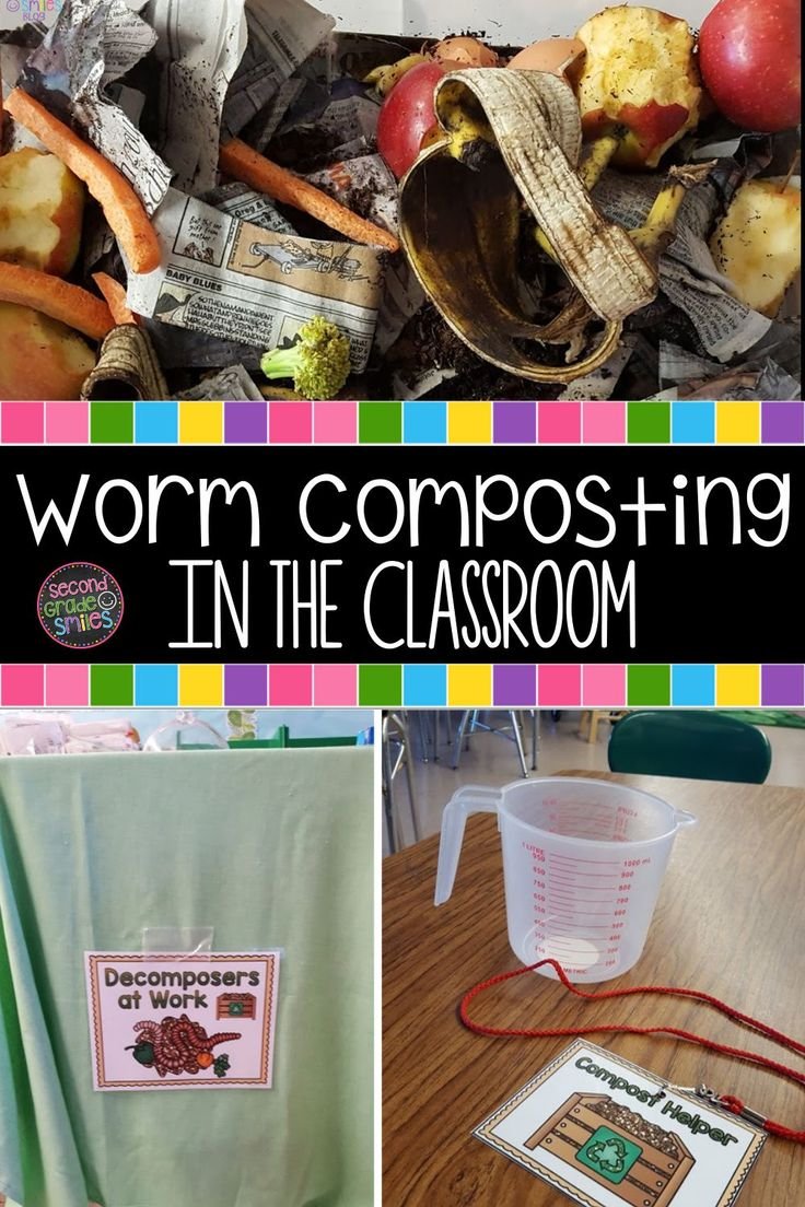 Building A Classroom Earthworm Farm