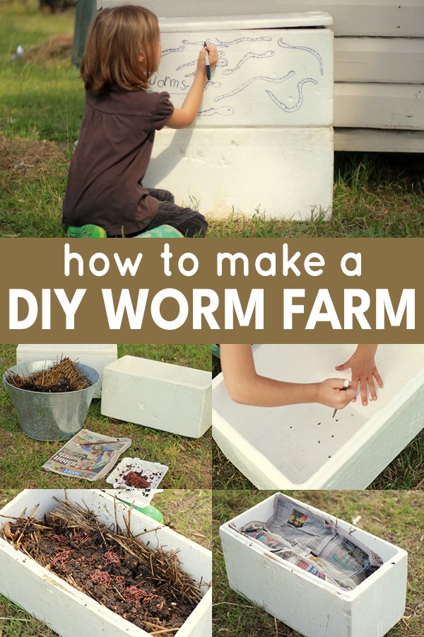 Building A Classroom Earthworm Farm