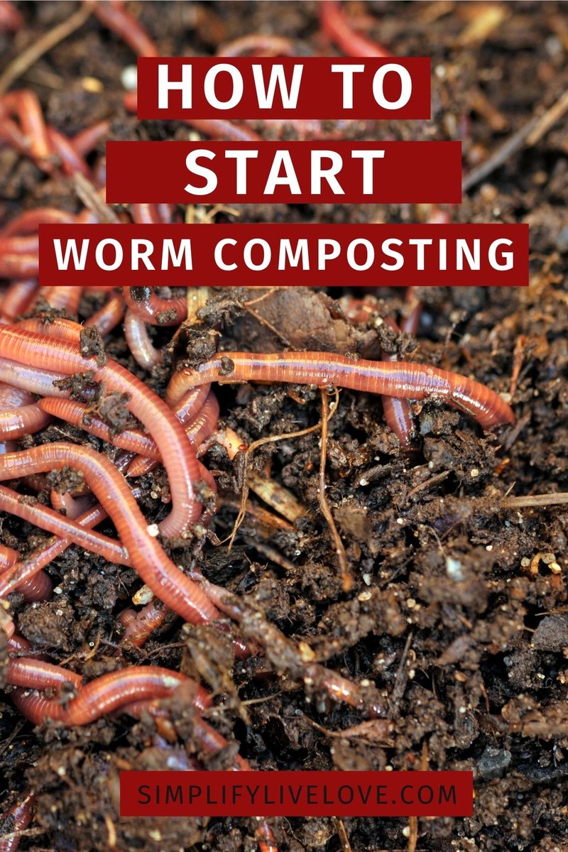 Composting Without Encouraging Hammerhead Worms