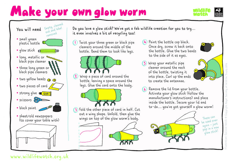 Creating Educational Materials About Glow Worms