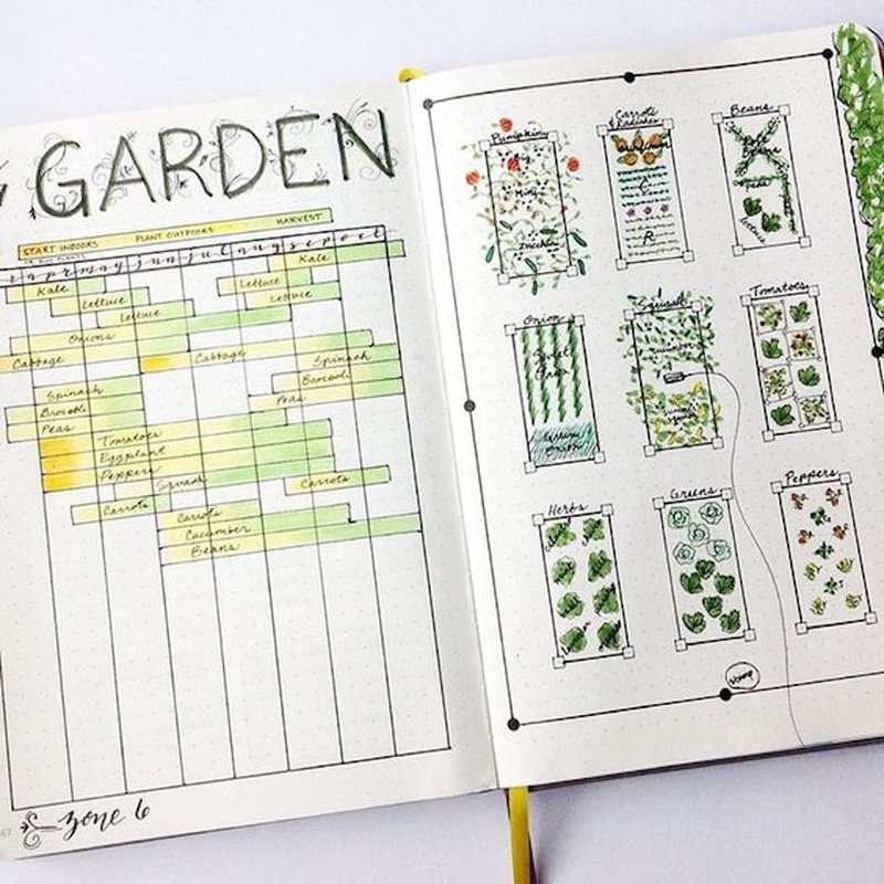 Creating Garden Journals For Tracking Inchworm Presence