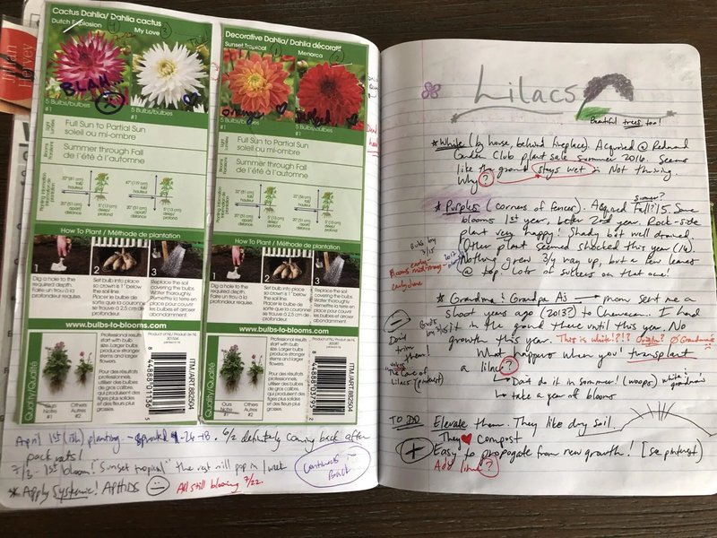 Creating Garden Journals For Tracking Inchworm Presence
