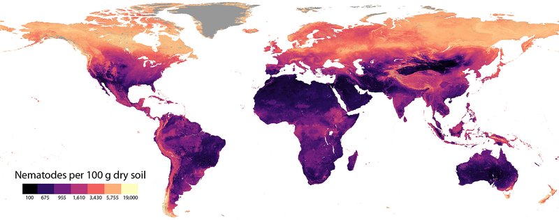 Documented Range And Distribution Of Nematomorph Worldwide