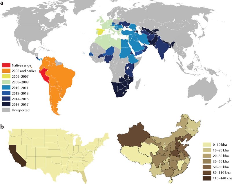 Documented Range And Distribution Of Pinworm Worldwide