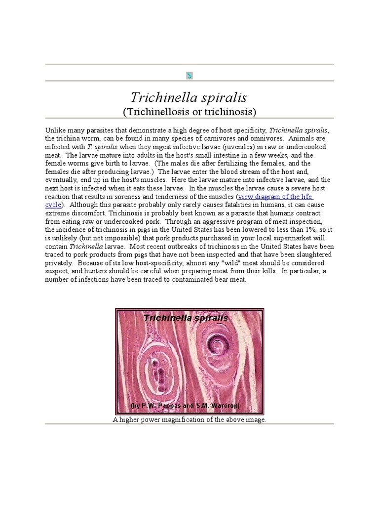 Documented Range And Distribution Of Trichinella Spiralis Worldwide