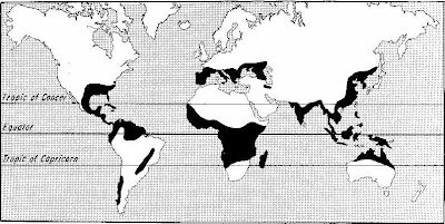 Documented Range And Distribution Of Whipworm Worldwide