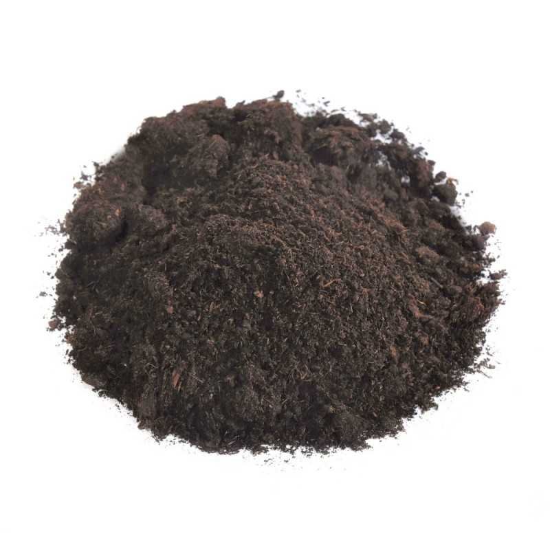 Earthworm Casting: Nature’S Perfect Fertilizer