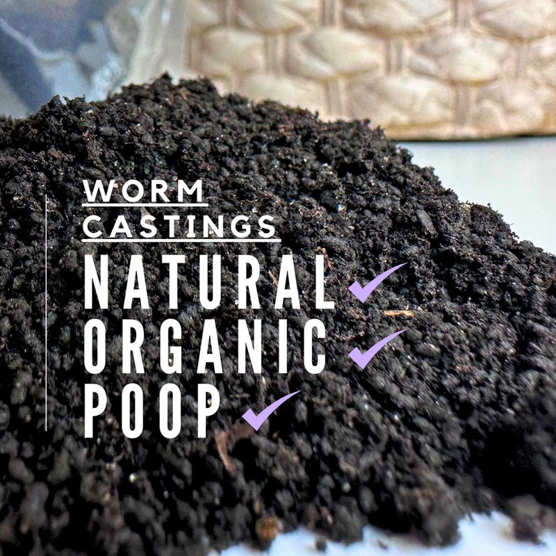 Earthworm Casting: Nature’S Perfect Fertilizer