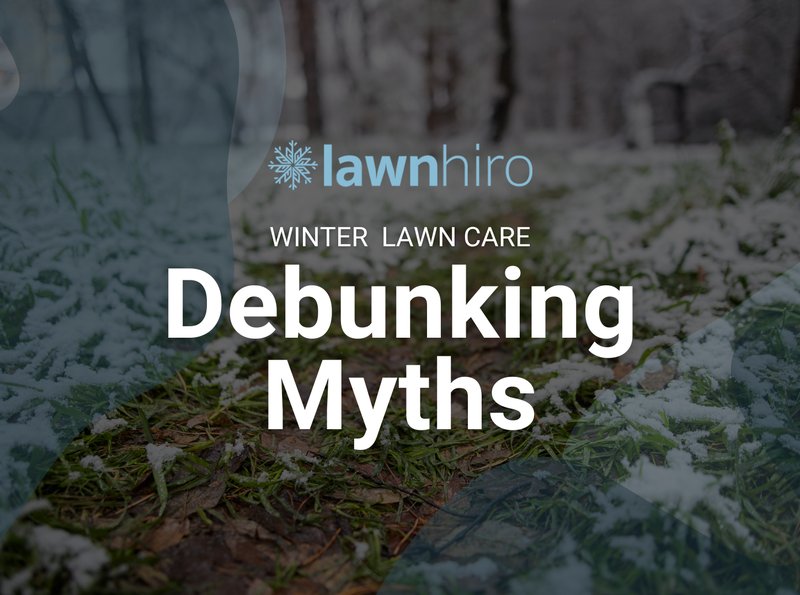 Earthworms In Lawn Care: Benefits And Myths