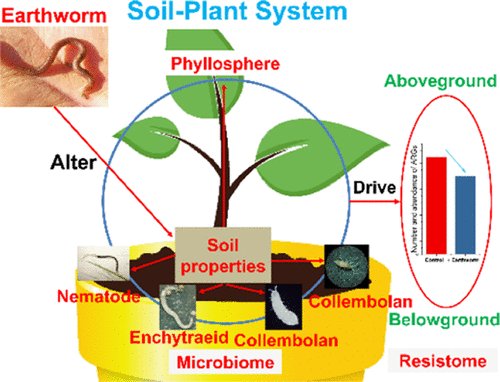 Ecological Benefits And Drawbacks Of Microworm Populations