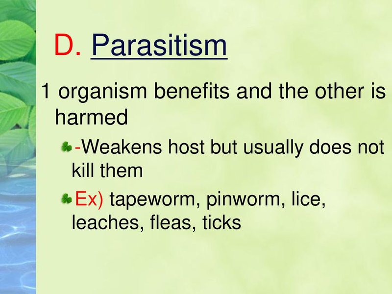 Ecological Benefits And Drawbacks Of Pinworm Populations