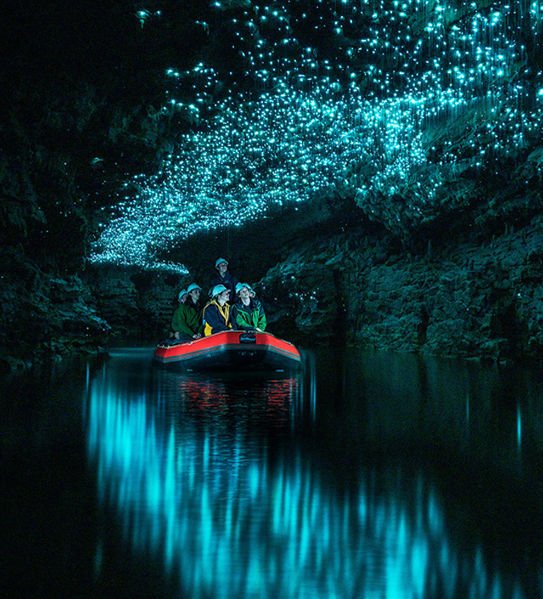 Glow Worm Caves: Famous Locations Around The World