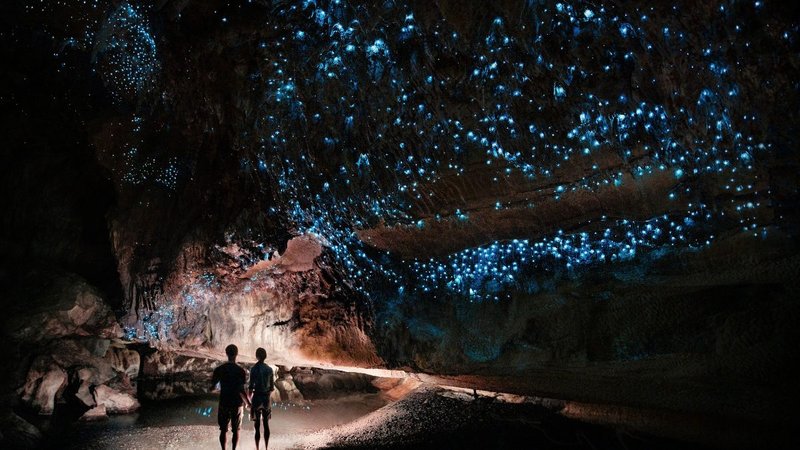 Glow Worm Caves: Famous Locations Around The World
