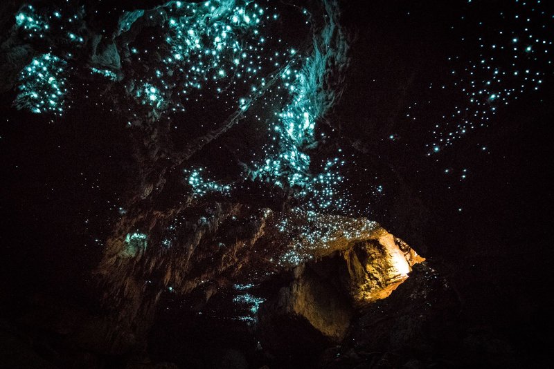Glow Worm Photography Tips For Beginners