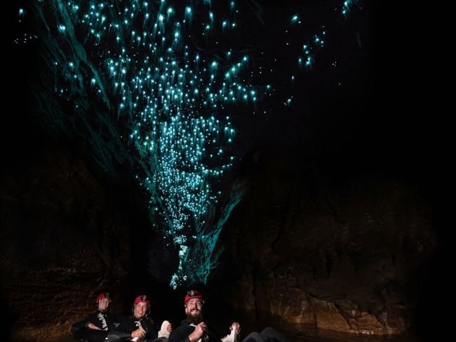 Glow Worm Tourism Ethics: Viewing Without Harm