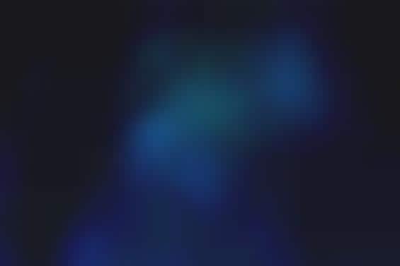 Glow Worms And Moisture Levels In Forests